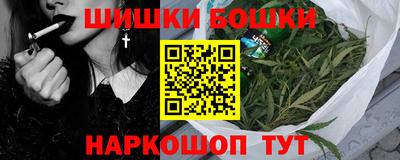 МДПВ Будённовск