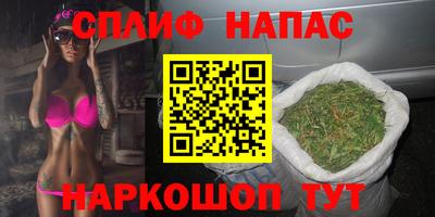 МДПВ Будённовск